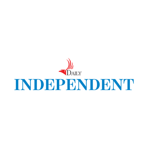 daily independent news logo
